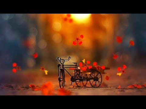 New Love Status | Romantic Video | Hindi Romantic Hot Love Story Song | WhatsApp Status Video 2021