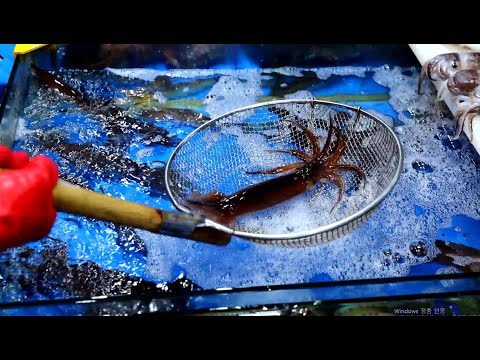 오징어 회뜨기 망원시장 바다를 사랑한 형제들 오징어회 오징어활어 산오징어  live squid  sashimi  korean streetfood kfood squid game