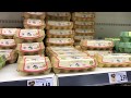 Цены на продукты в Германии (в евро, рублях, сомах) - Preise für Lebensmittel in Deutschland
