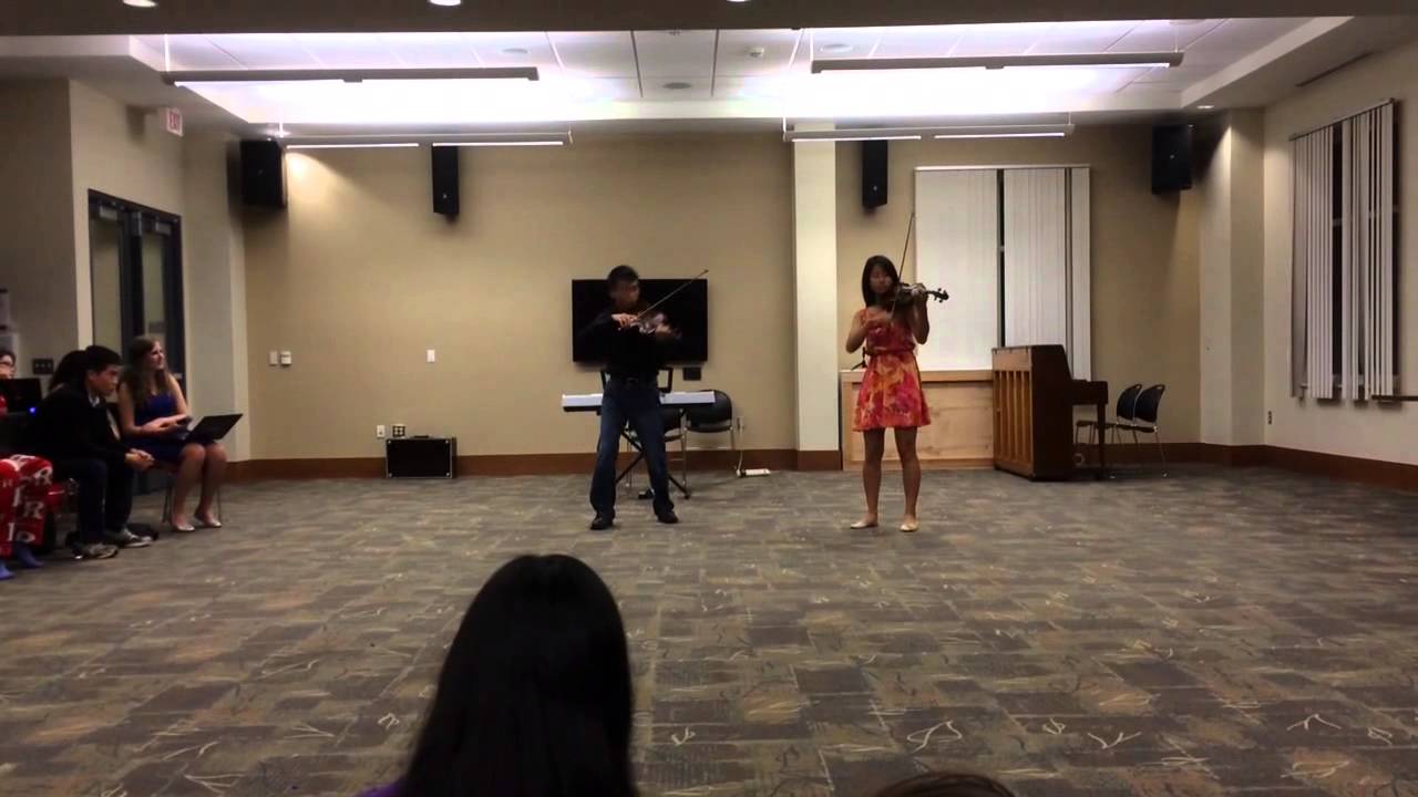 I Knew You Were Trouble Violin Duet