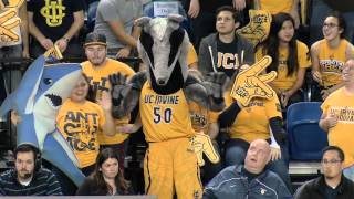 Peter the anteater, uc irvine's beloved mascot, turns 50 years old
this year. his push-ups with conan o'brien and smooth dance moves are
just a few reasons w...