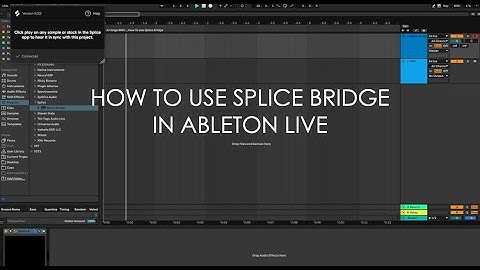 How To Use Splice Bridge In Ableton Live