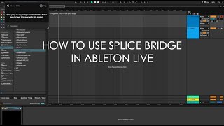 How To Use Splice Bridge In Ableton Live Wealth