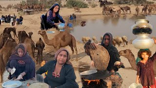 Camle People living in Desert and Their Morning Routine | Women Village Life Pakistan in Summer