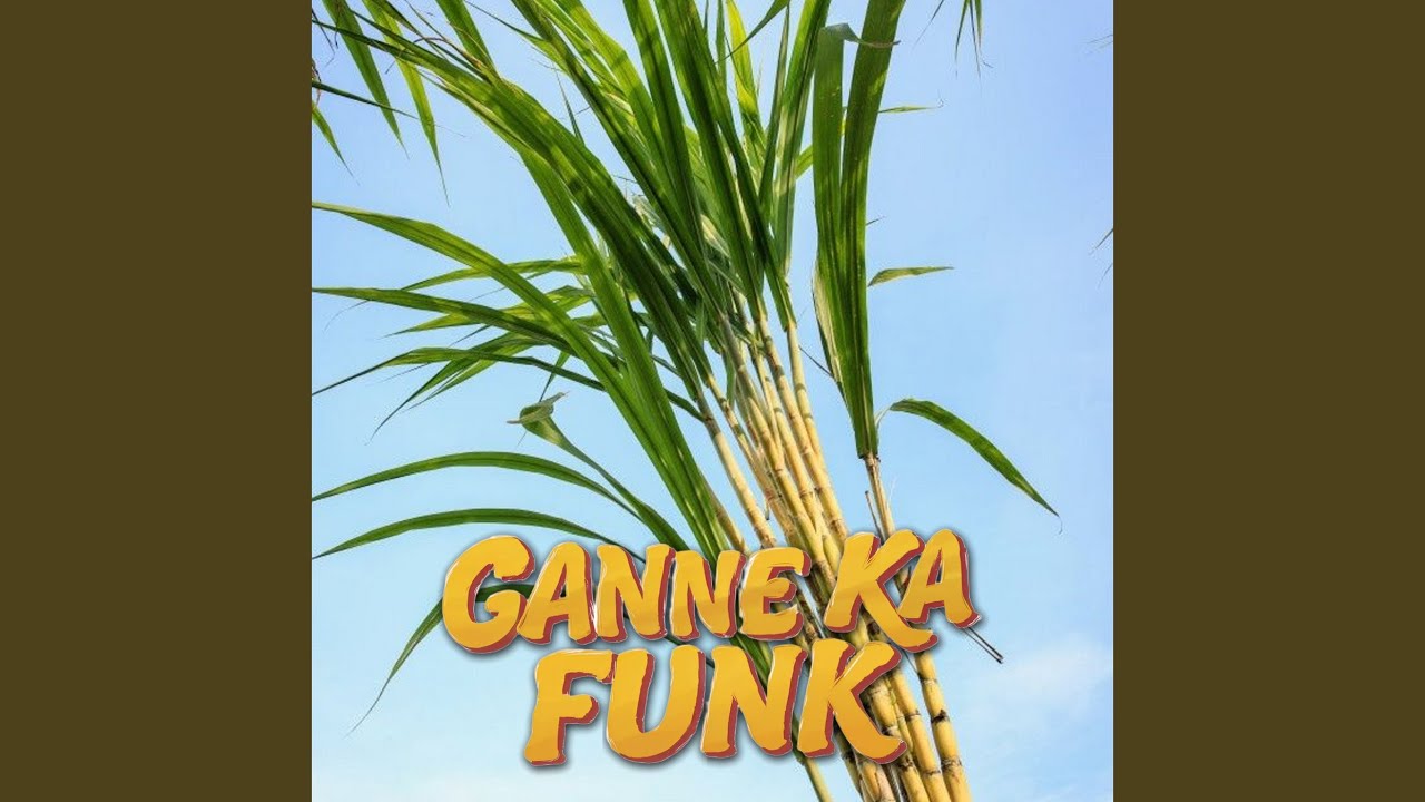 GANNE KA FUNK (OVER SLOWED)