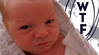 КОРЕЙСКАЯ МОРКОВКА/СУББОТА/WTF?! КОРЕЙСКАЯ МОРКОВКА/СУББОТА/WTF?!