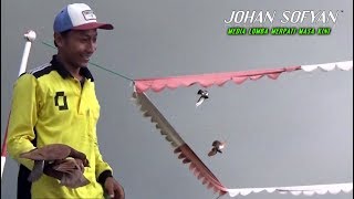 Download lagu QIU QIU MENGGANASS Babak 10 BESAR HADIAH 50 JUTA THR CUP 2 Lomba NASIONAL Merpati Lapak PADEL TEGAL QIU QIU MENGGANASS Babak 10 BESAR HADIAH 50 JUTA THR CUP 2 Lomba NASIONAL Merpati Lapak PADEL TEGAL