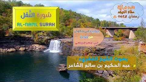 [ سُورة النَّمْل Al-Nnamel Surah ] برواية ابن ذكوان عن ابن عامر الشامي / للشيخ : د. عبدالحكيم الشاعر