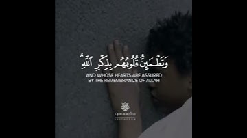 آية تريح القلب l بصوت القارئ طارق محمد