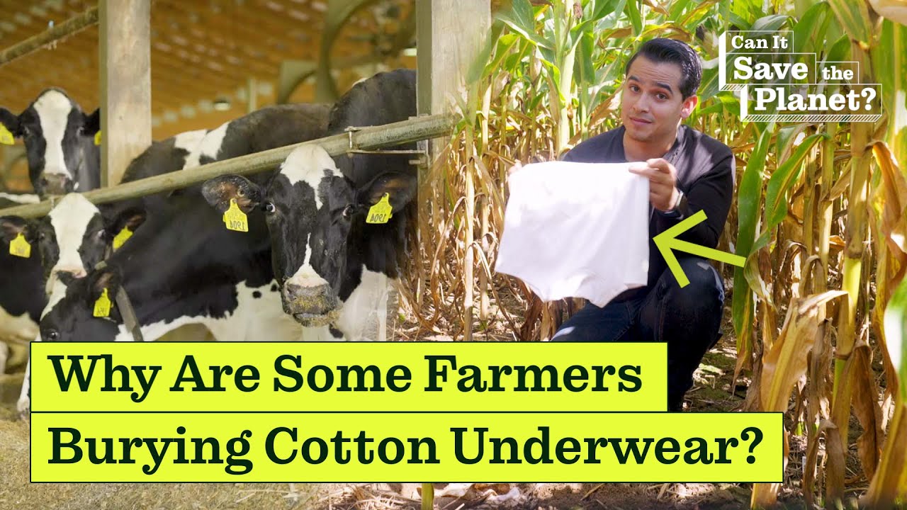 Can Regenerative Farming Save The Planet? - YouTube