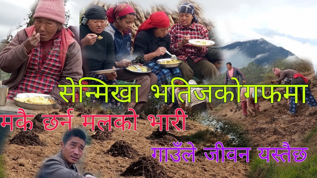 गाउँले जीवन जिउने तरिका सबै मिलि काम धमाधम