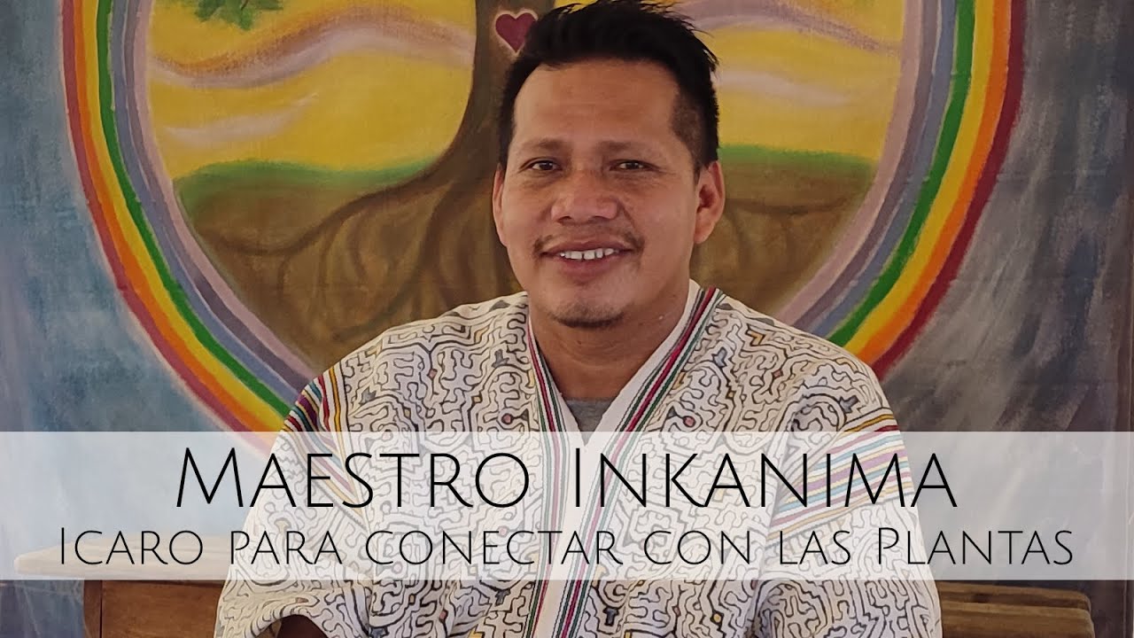 Master Plant Dieta 2023 Maestro Inkanima Icaro Para Conectar Con master-plant-dieta-2023-maestro-inkanima-icaro-para-conectar-con