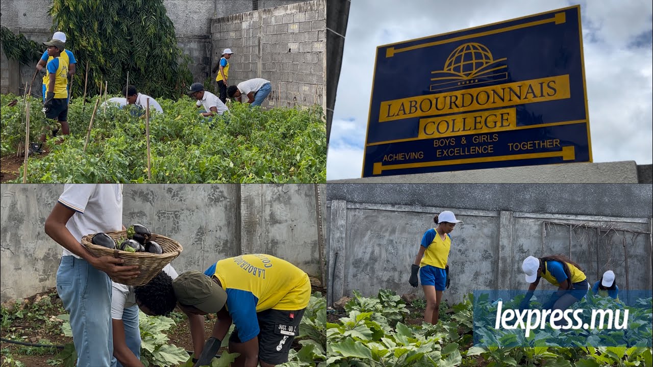 Projet scolaire au Labourdonnais College: Apprendre en cultivant la terre