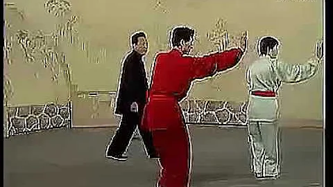 Bajiquan Xiao Jia Yilu - Li Junyi