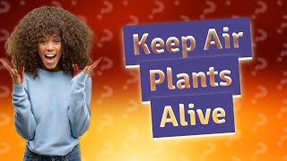 What kills air plants?