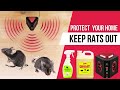 Best rat deterrents that actually work  successful way to stop rats from getting inside