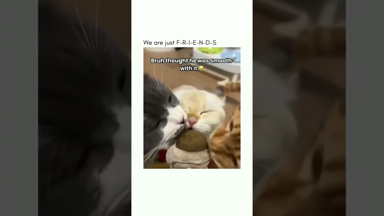 Proud of my song choice👌 