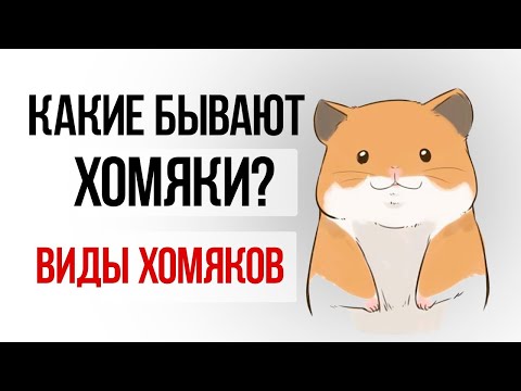Какие бывают виды