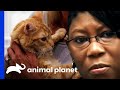 Woman With "Cat Phobia" Pets Cat For The First Time | My Extreme Animal Phobia