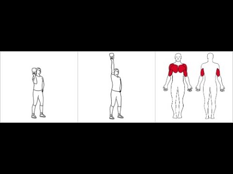 Enarms skulderpress m/bunnen opp