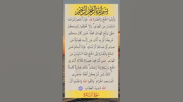 و أتموا الحج و العمرة لله 🌺 | #سورة_البقرة #صلاح_بوخاطر 🍂 #quran #قرآن ❤️