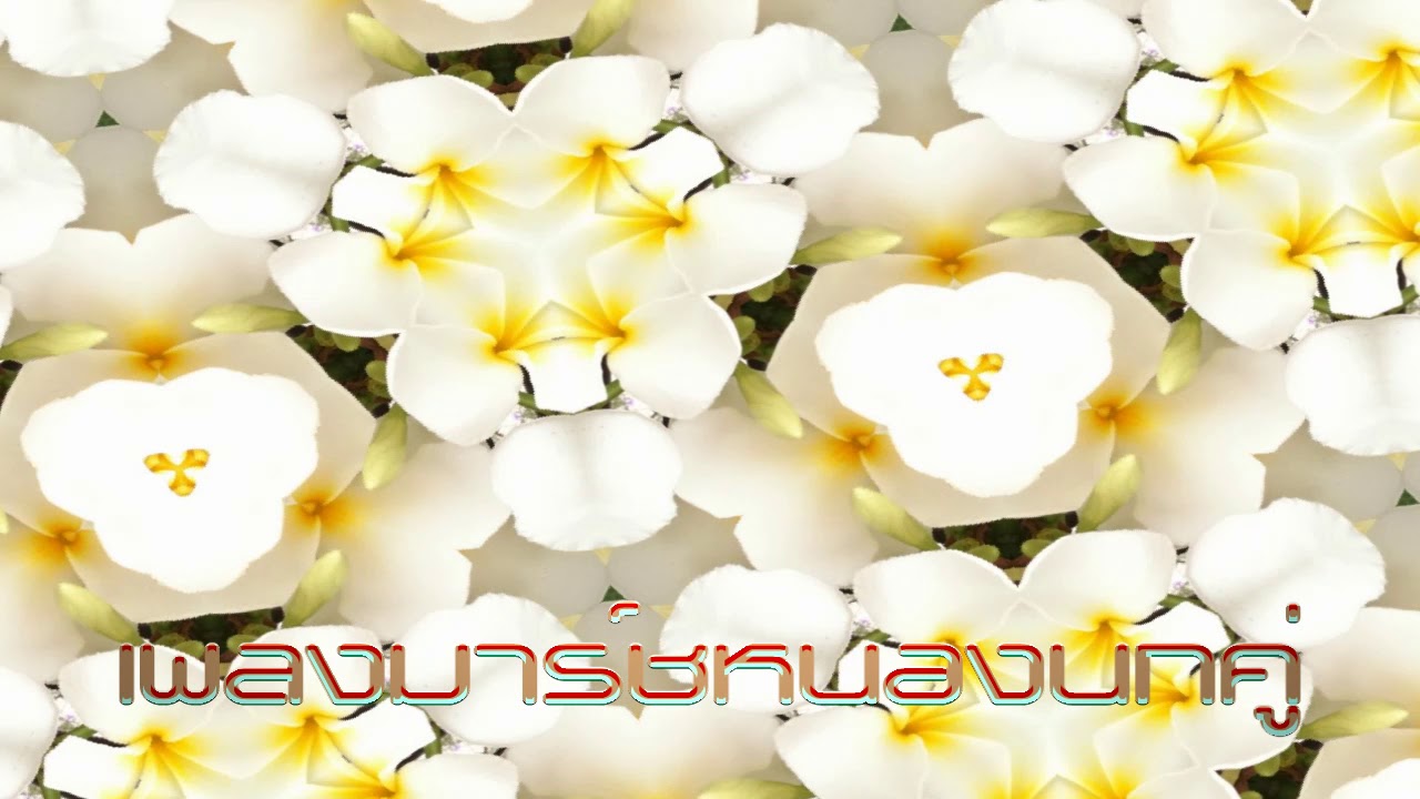 เพลงมาร์ชหนองนกคู่