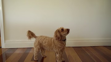 How to Influence Behaviour Change