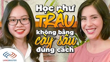 Langmaster Review | Học NHƯ TRÂU không bằng CÀY SÂU ĐÚNG CÁCH [Tiếng Anh cho người mới bắt đầu]