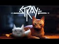 【Stray】ようやく、この時が来た。