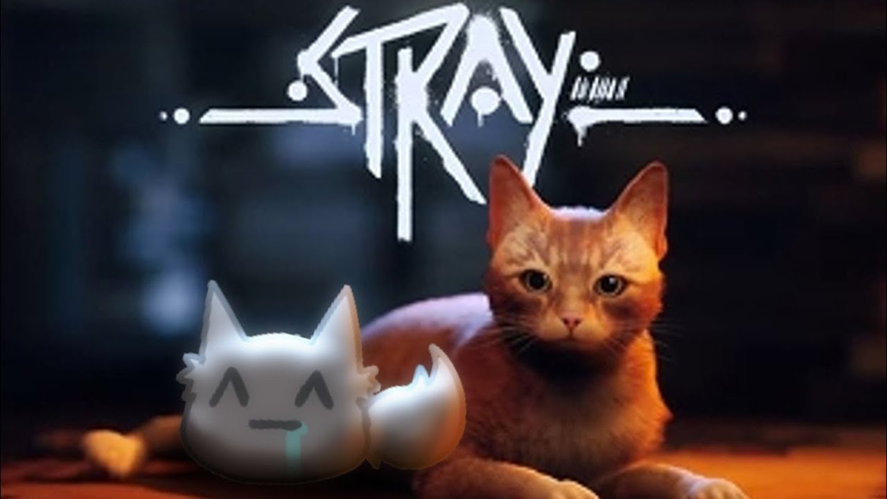 【Stray】ようやく、この時が来た。