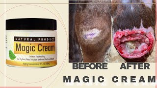 الكريم السحرى لعلاج الجروح والاورام الناتجه عن الجروح MAGIC CREAM