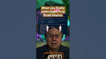 When you finally understand Feral Druid rotation