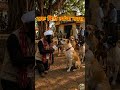 😂 कुत्र्यांचा पोलीस स्टेशनवर मोर्चा! | दारू पितो नवरा आणि शिव्या आम्हाला?#funnyvideo #shorts #money