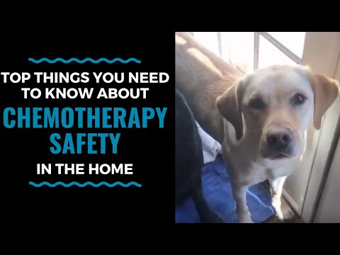 Top Things You Need to Know about Chemotherapy Safety in the Home: VLOG 66