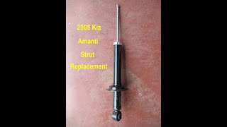 Career Overview 2005  Kia Amanti Strut replacement