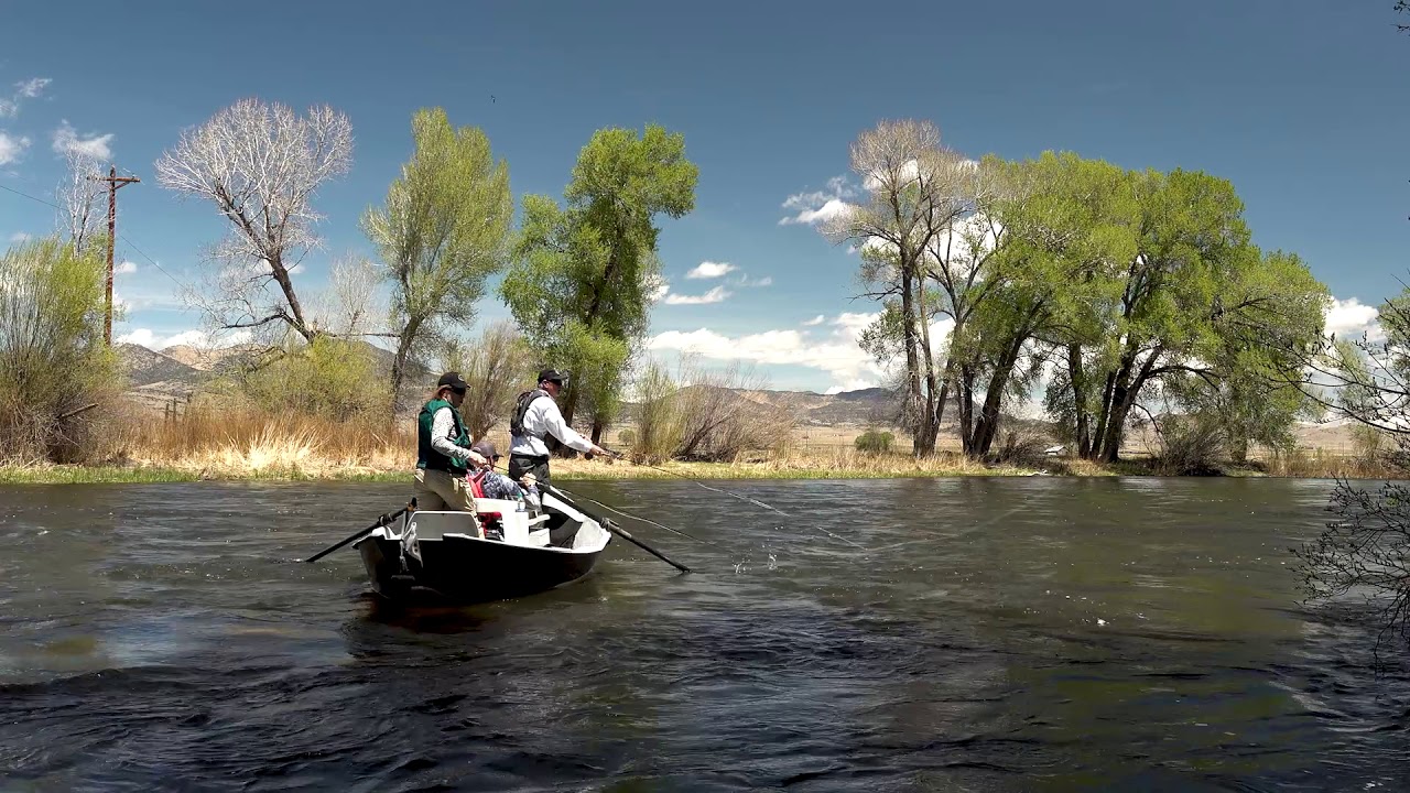 Flying W Ranch Del Norte, CO Land For Sale YouTube