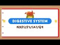 Digestive System Quiz