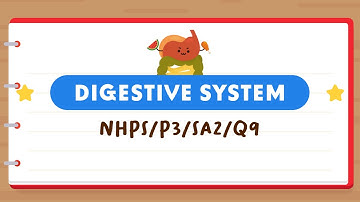 PSLE SCIENCE MADE SIMPLE EP171 | Digestive System | What Materials Do A And B Represent? 🧐