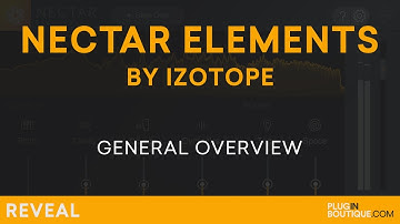 Nectar Elements by iZotope | Vocal Processing Tutorial & Review of Features
