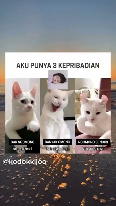 kmu ketemu aku Fersi mna? ☺️👊🏻#memes #funny #kodokkijoo