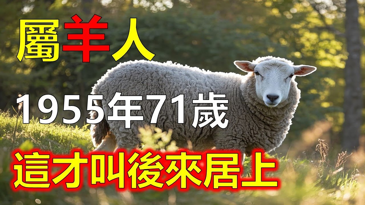 屬羊人的事業運為何中年後突飛猛進？河左之羊屬「遲發格」，早年耕耘多，收穫少，中年後方見成果。命中貴人星在四十歲後轉旺，容易遇到合作好夥伴或長輩提攜#屬羊#生肖羊 #1955 羊