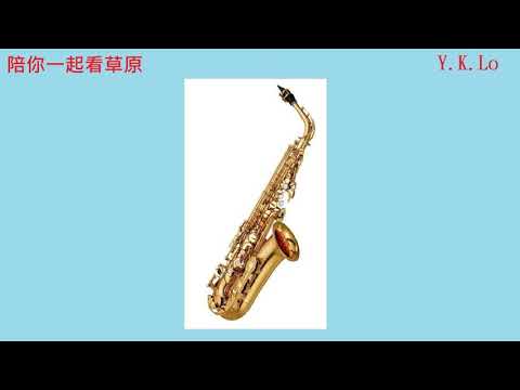 陪你一起看草原 (Saxophone), Y.K.Lo