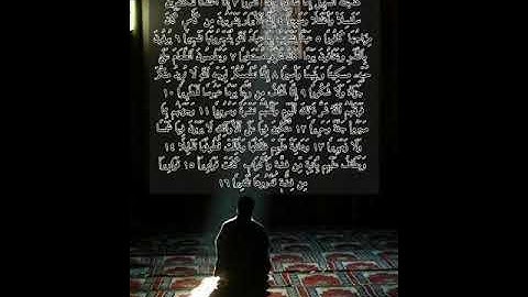 سورة الانسان تلاوة للقارئ ياسر الزيلعي