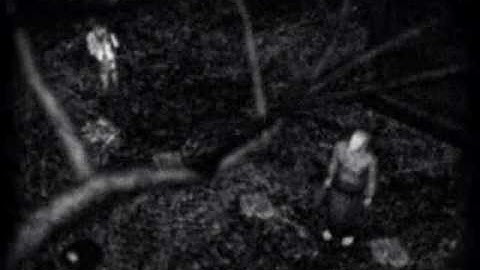 Fatal Frame Cutscene - Atrium