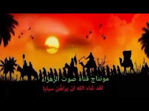 باسم الكربلائي عذبني درب التان 