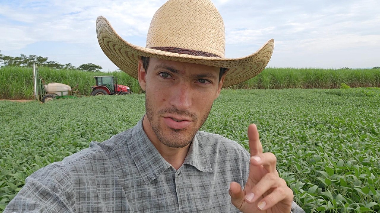 Será Que Vai Surpreender? 🌱 Soja na Reforma de Cana