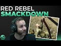 Red Rebel Smackdown - Stream Highlights - Escape from Tarkov
