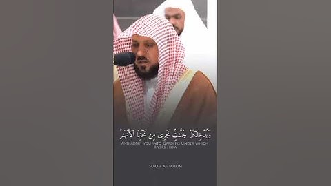 تلاوة - الشيخ - ماهر المعيقلي - سورة التحريم - #اسلاميات #اكسبلور #اسلام #لايك #إسلامي #تلاوة_مميزة