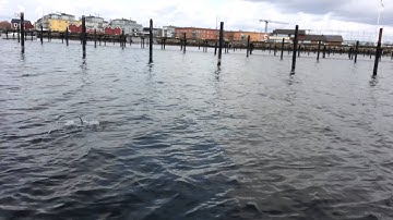 ROV 3.0 first open water test