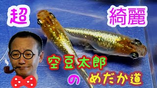 めちゃ綺麗！オーロラ黄ラメ体外光　めだか